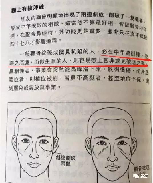 骨面相图解 教你如何看颧骨 面相图解