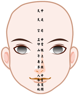 命宫面相图解 十三部位 (天中、天庭、司空、中正、印堂、山根、年上、寿上、准头、人冲、水星、承