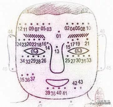 男生面相图解_面相图解贵妇人面相_男生眉毛面相图解大全