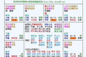 紫微斗数在线排盘紫微斗数工具原局大限流年(组图)流年