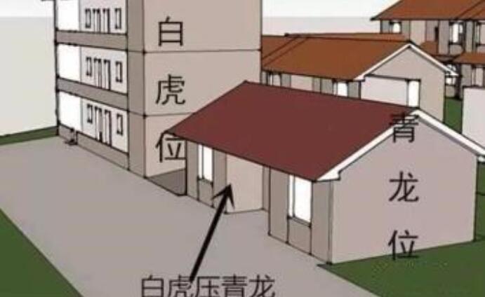 白虎长期住在地下室的房子风水