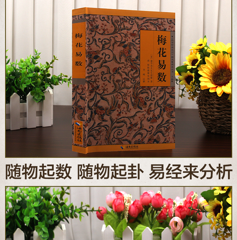 象数预测与象数疗法pdf_贾双萍梅花新易pdf_梅花易数预测学讲义贾双萍