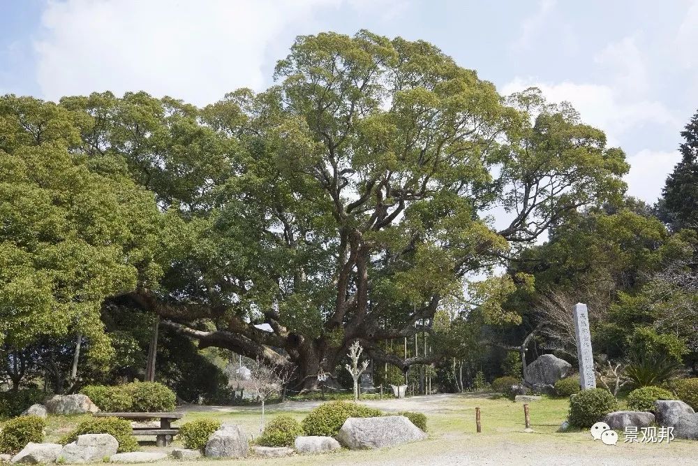 植物风水说如果跟你说科学，我却相信风水