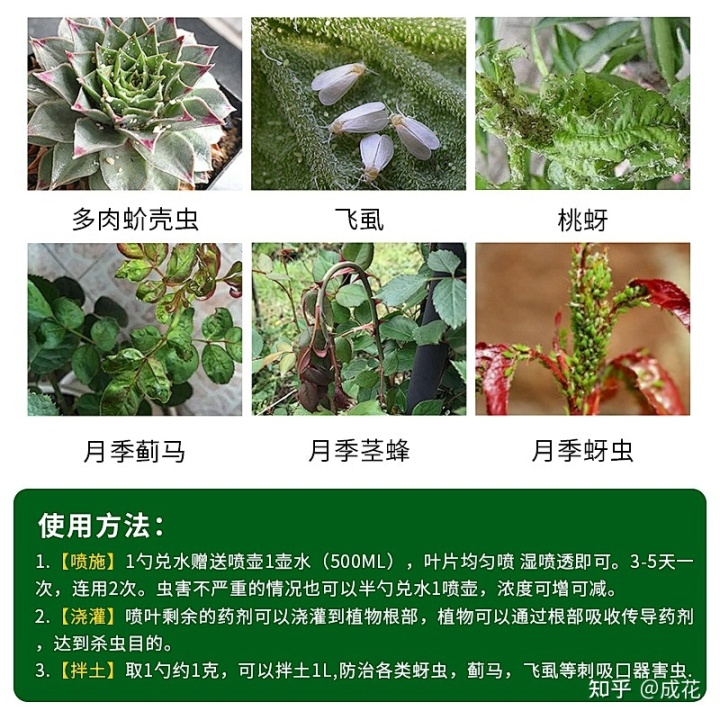 农村家具摆放风水讲究_阳台摆放植物的风水讲究_别人家阳台的泰山石敢当正对我家阳台有什么风水讲究