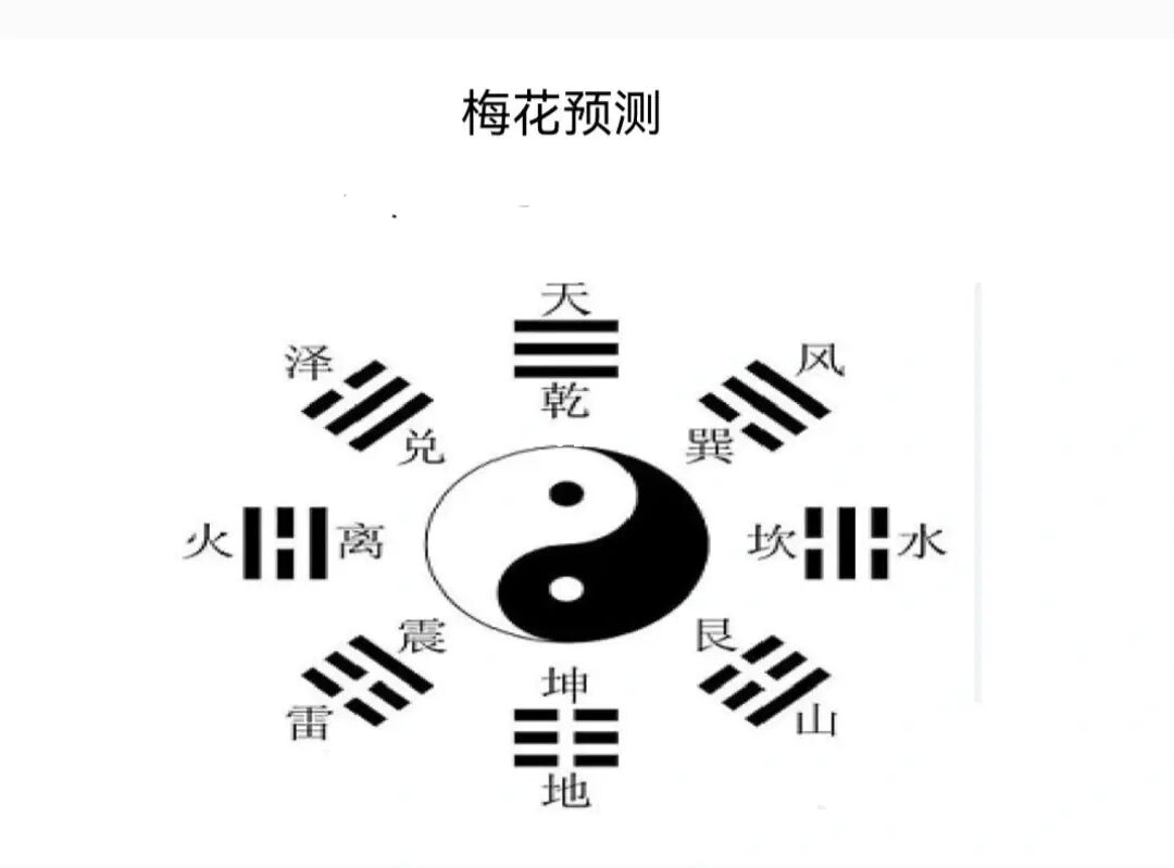 风水堂：梅花易数梅花地支数