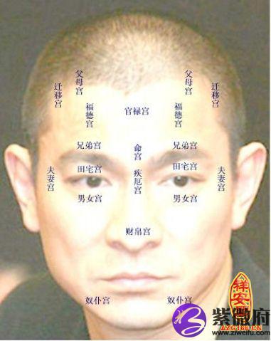 （李向东）脸上痣图解男人面相有怎么样不同的运势