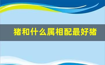 猪和什么属相配最好 猪和什么属相最配对，属猪配什么属相最合适