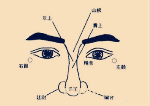 面相学图解，很多人还不知道,现在让我们一起来看看！