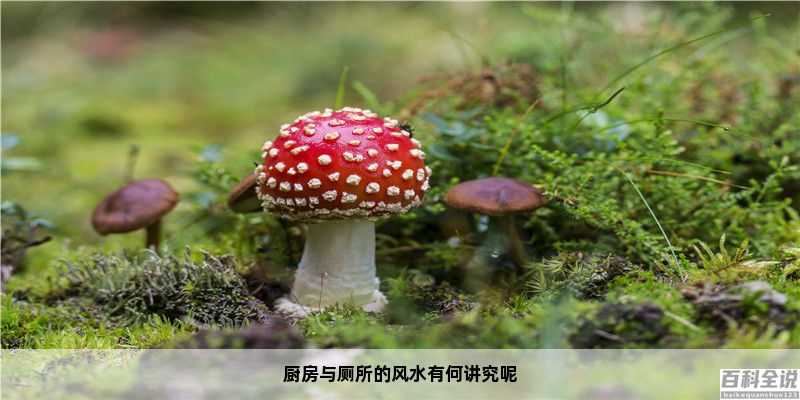 厨房与厕所的风水学上认为其实是水火不容的