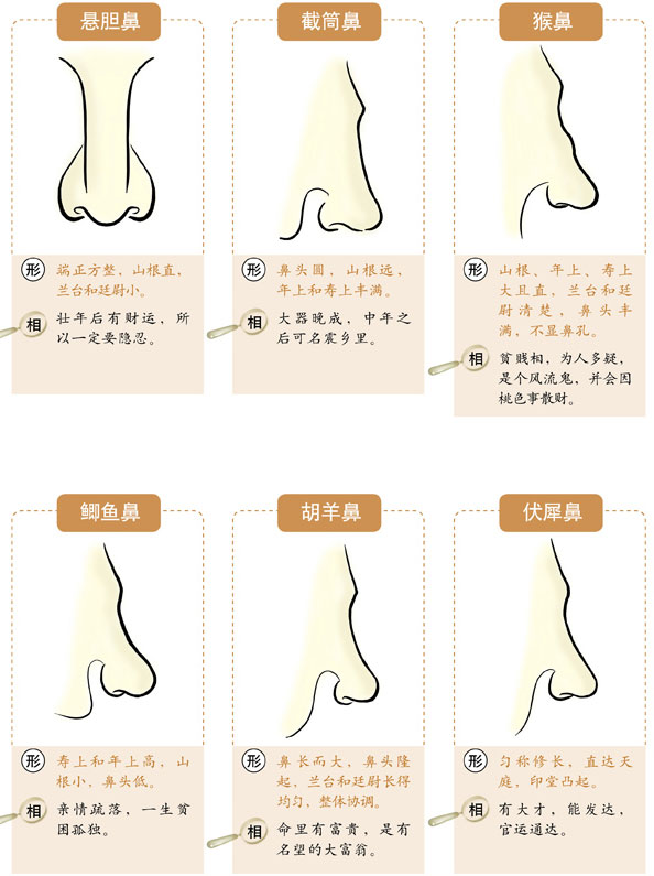 你们觉得，决定脸好看的是眼睛还是鼻子？（深度好文）