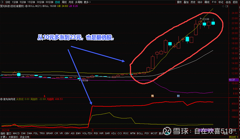 预测牛的真实见证，分享福报