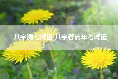 八字测考试运 八字看流年考试运