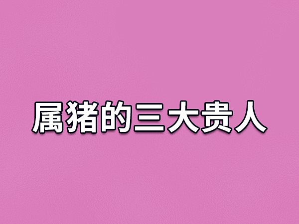 2024年属猪人暗中贵人会是谁呢？