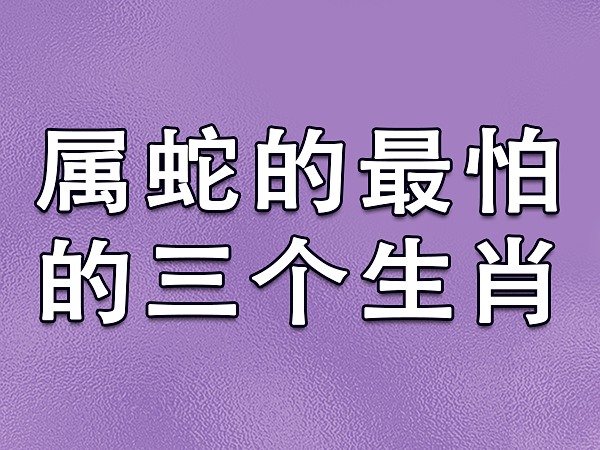 2023属虎的全年运势及运程的几个生肖！