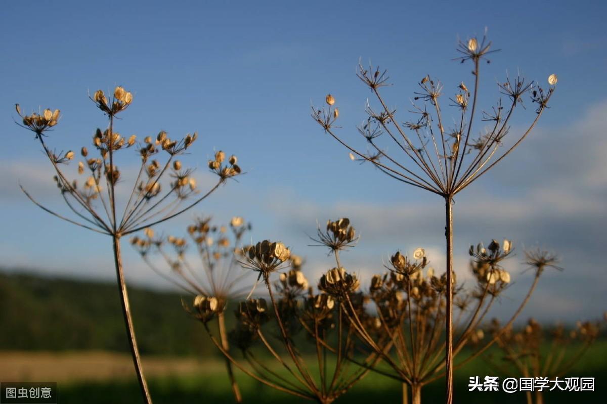 蓍草占卜之前，先来认识一下易经的数