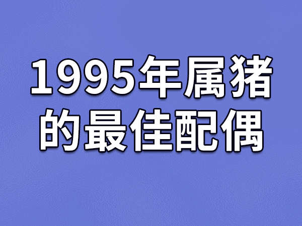 95 年属猪男最佳结婚年份与属相，你知道吗？